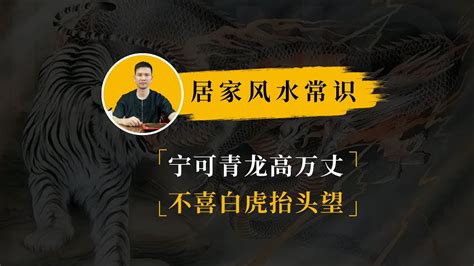 宁可青龙高万丈|俗语：宁让青龙高万丈，不让白虎抬头望”，啥意思，看完真长见识